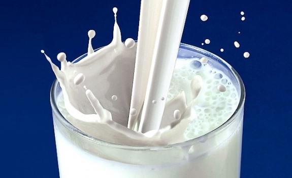 Šiek tiek apie pieną ir pieno produktus