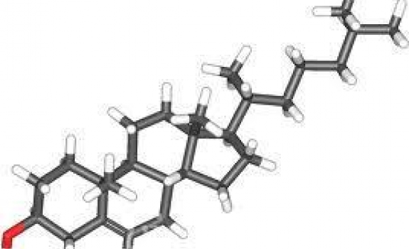 Cholesterolis yra naudingas?