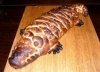 Krokodilas