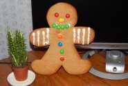 Didelis "Gingerbread"