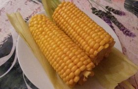 Auksaspalvės kukūruzų burbuolės